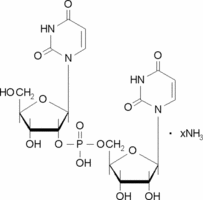 Uridylyl(2′→5′)uridine ammonium salt chemical structure