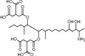 Fumonisin B2 from Fusarium moniliforme chemical structure