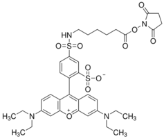 Dy-560 NHS ester chemical structure