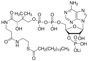 Palmitoyl coenzyme A lithium salt chemical structure