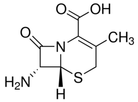 7-Aminodesacetoxycephalosporanic acid chemical structure