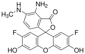 DAF-FM chemical structure