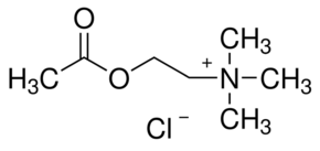 Acetylcholine chloride chemical structure