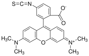 Tetramethylrhodamine isothiocyanate Isomer R chemical structure